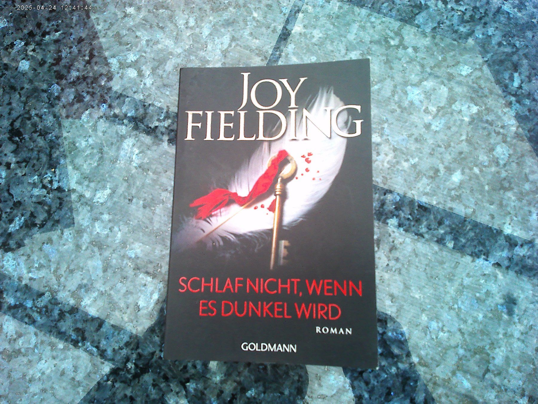 Libri: Schlafe nicht, wenn es dunkel wird von Joy Fielding – Usato da reitnau venduto da Sib7