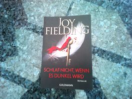 Schlafe nicht, wenn es dunkel wird von Joy Fielding