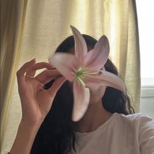 Profile image of Madeys