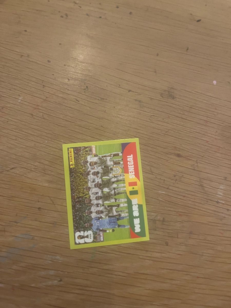 Panini Sammelbilder & Trading cards: Panini Manschaftsfoto – Neu (gemäss Beschreibung) aus Zürich von Noth020570