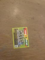 Panini Manschaftsfoto