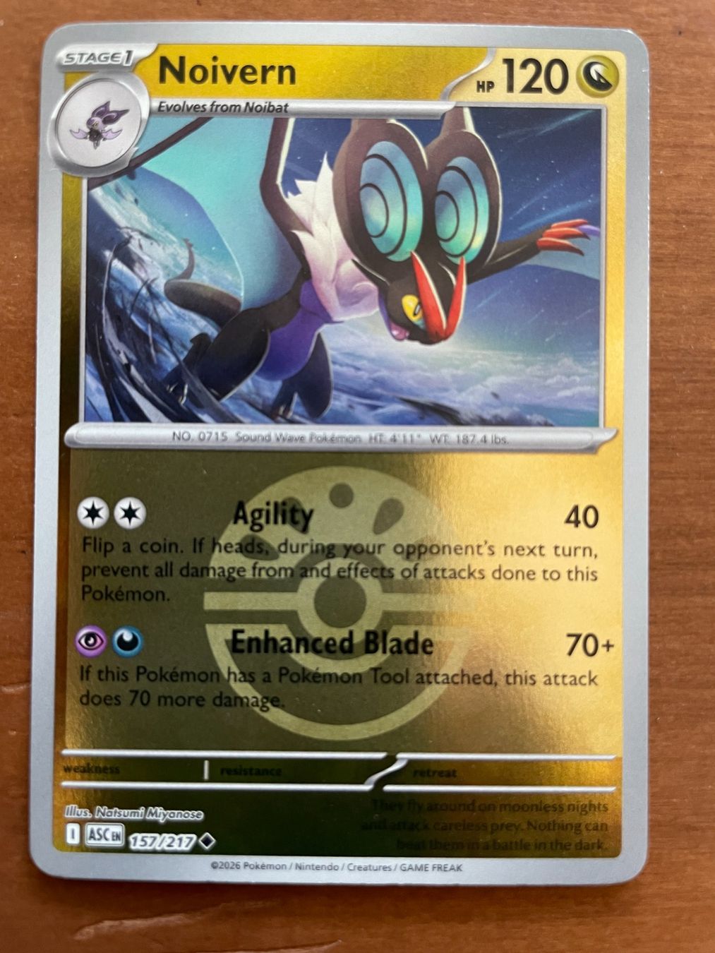Pokémon Carte collezionabili: Pokemon Noivern Reverse (Versand gratis) – Nuovo (secondo la descrizione) da Chur venduto da Angerson