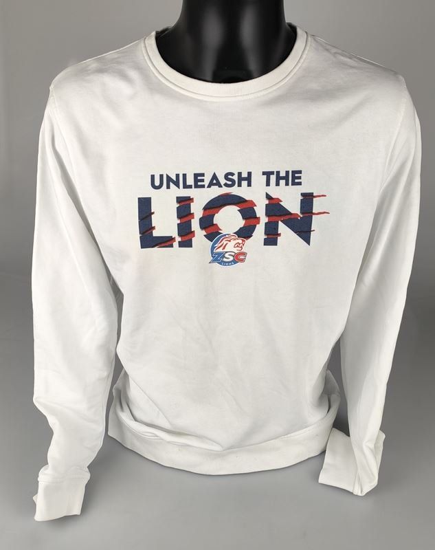 Zsc Lions Maglioni & Felpe: ZSC LIONS Pullover – Usato da Rüti ZH venduto da Restwert_Rueti_ZH