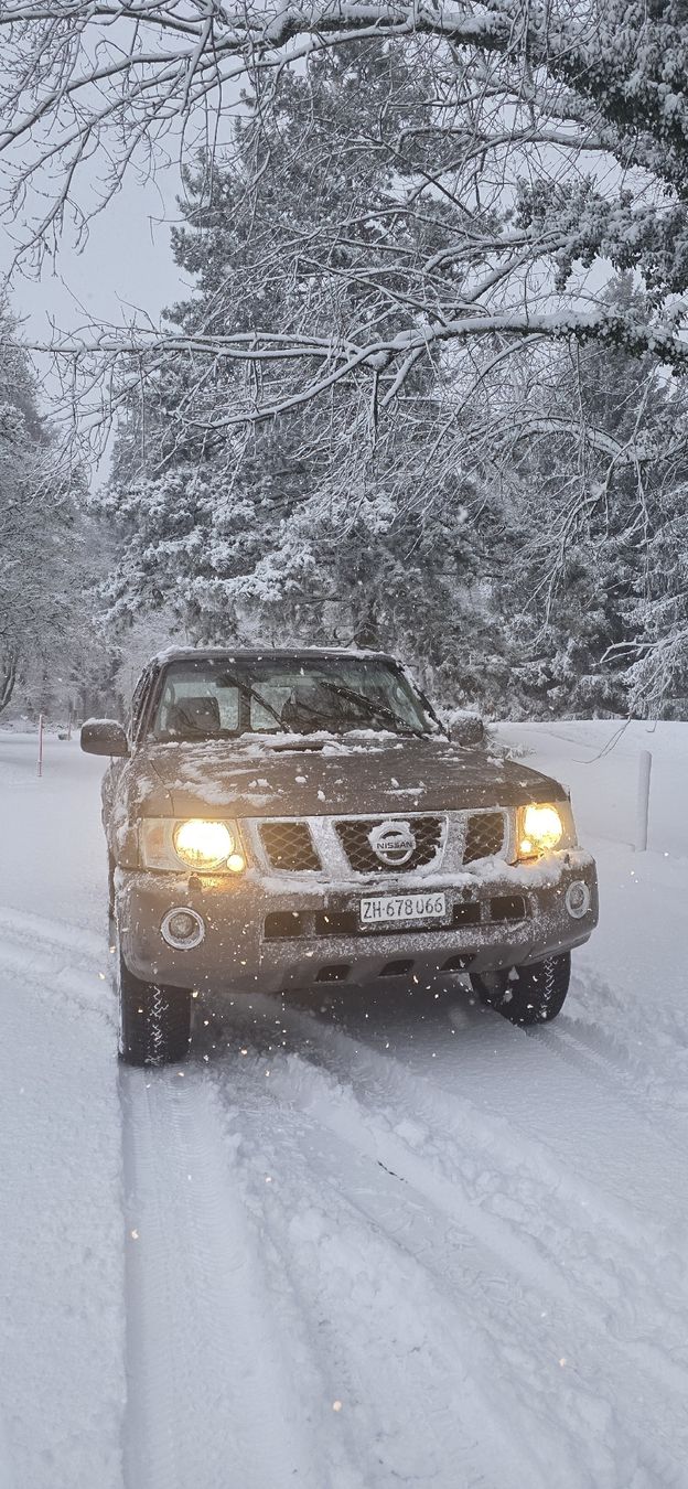 Nissan Automobili: Nissan Patrol y61 Gu – Usato da Nürensdorf venduto da rpi_n9mv 1