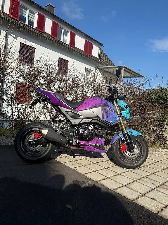 Honda Altro: Honda MSX 125 – Usato da Hinwil venduto da fir_v7yk