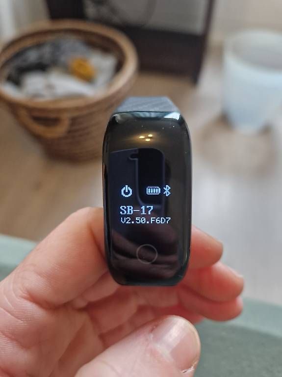 Smartwatch: Fitnesstracker  – D'occasion à Winterthur par aal_s5hf 2
