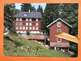 1975 Haus Walter, 6411 Rigi-Klösterli