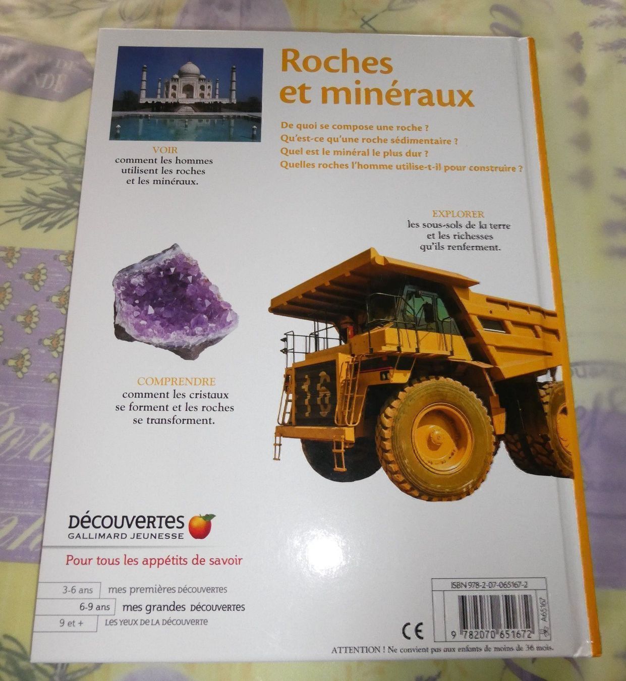 Libri: Livre Roches et minéraux – Nuovo e nell'imballaggio originale da Troistorrents venduto da Marion70 4