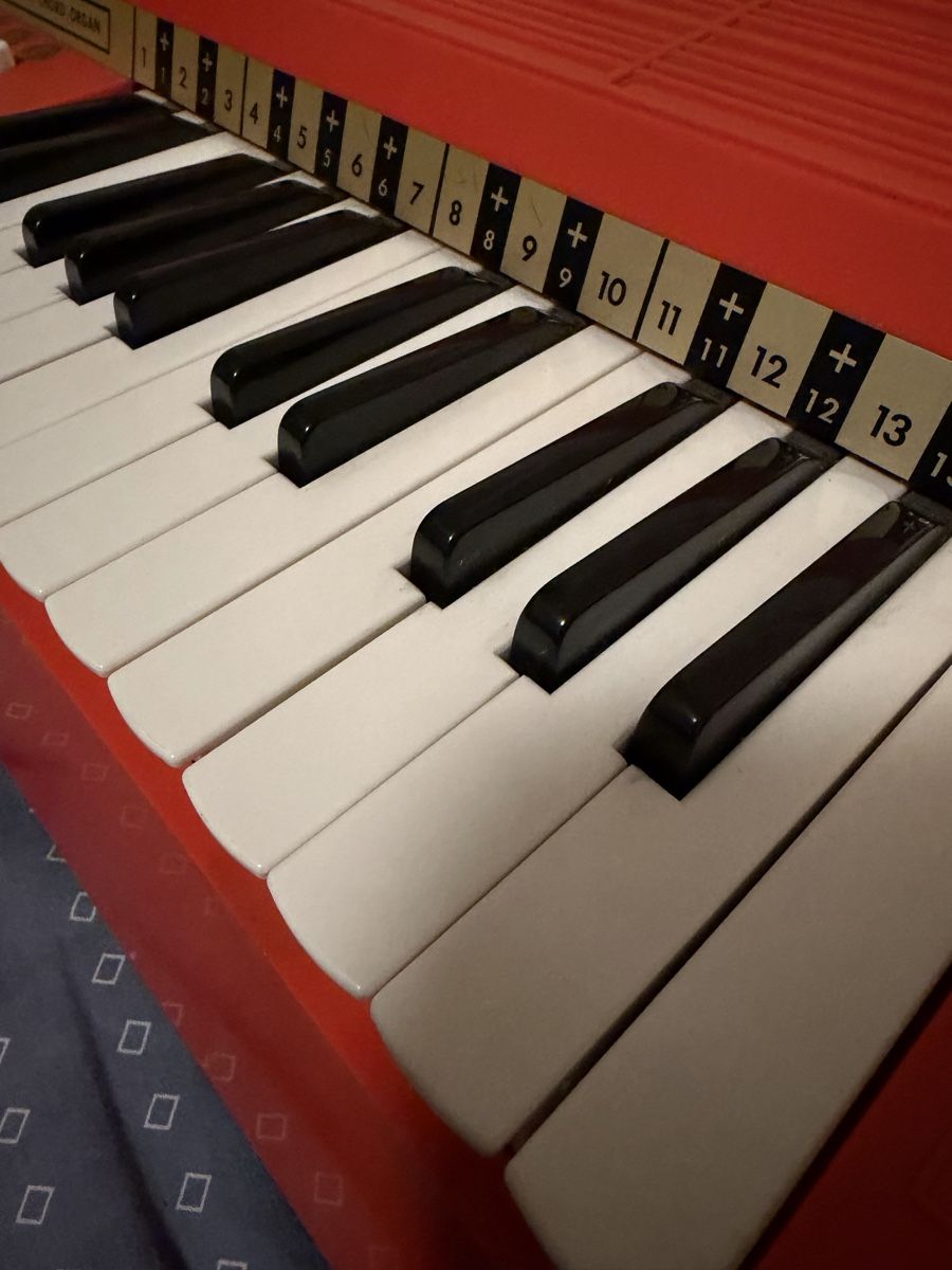 Strumenti musicali: Kleine Vintage Orgel – Usato da Basel venduto da schaeryo 2