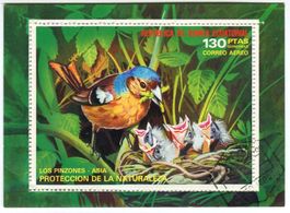 Block "Vögel". Äquatorialguinea.