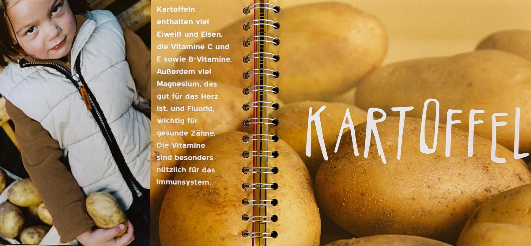 Libri: Wer kocht mit? – Nuovo (secondo la descrizione) da Sarnen venduto da Livres 2