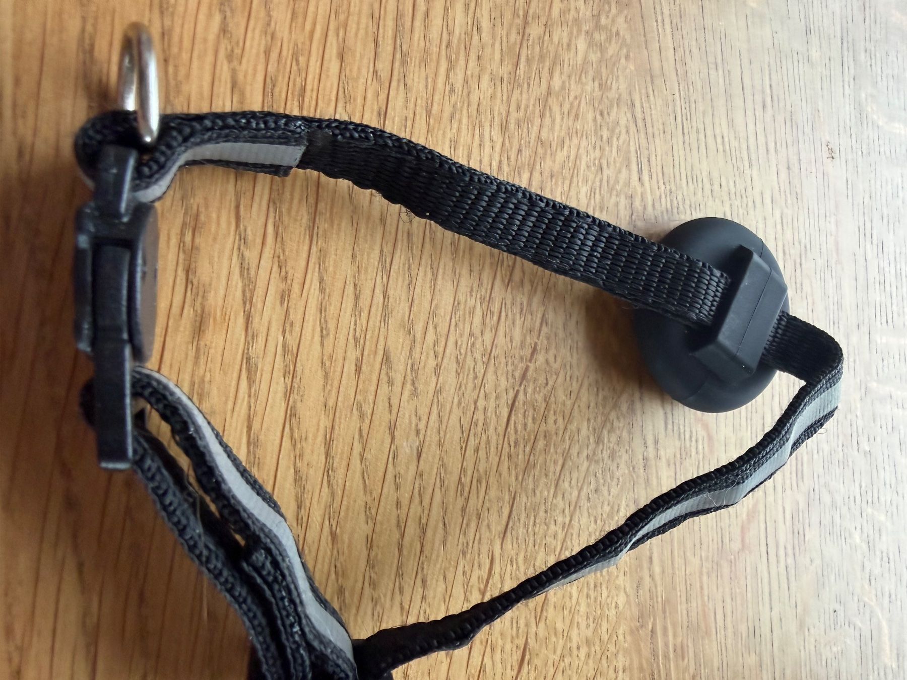 Guinzagli & Collari: Katzen- halsband mit Apple AirTag – Usato da chur venduto da Mabo67 1