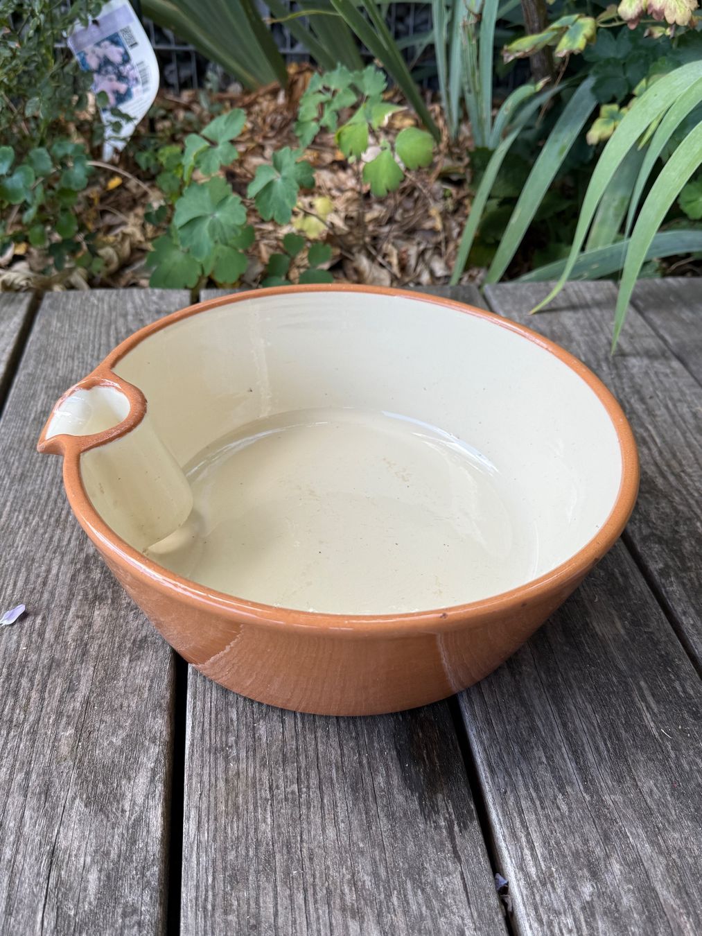 Coupes: Rahmbecken vintage – D'occasion à Wittwil par Schnaeppli64