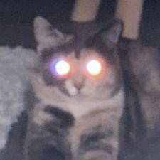 Profile image of DitEpsY