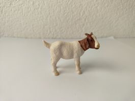 Schleich Ziegen Jungtier Baby Burenziegenbock Ziege