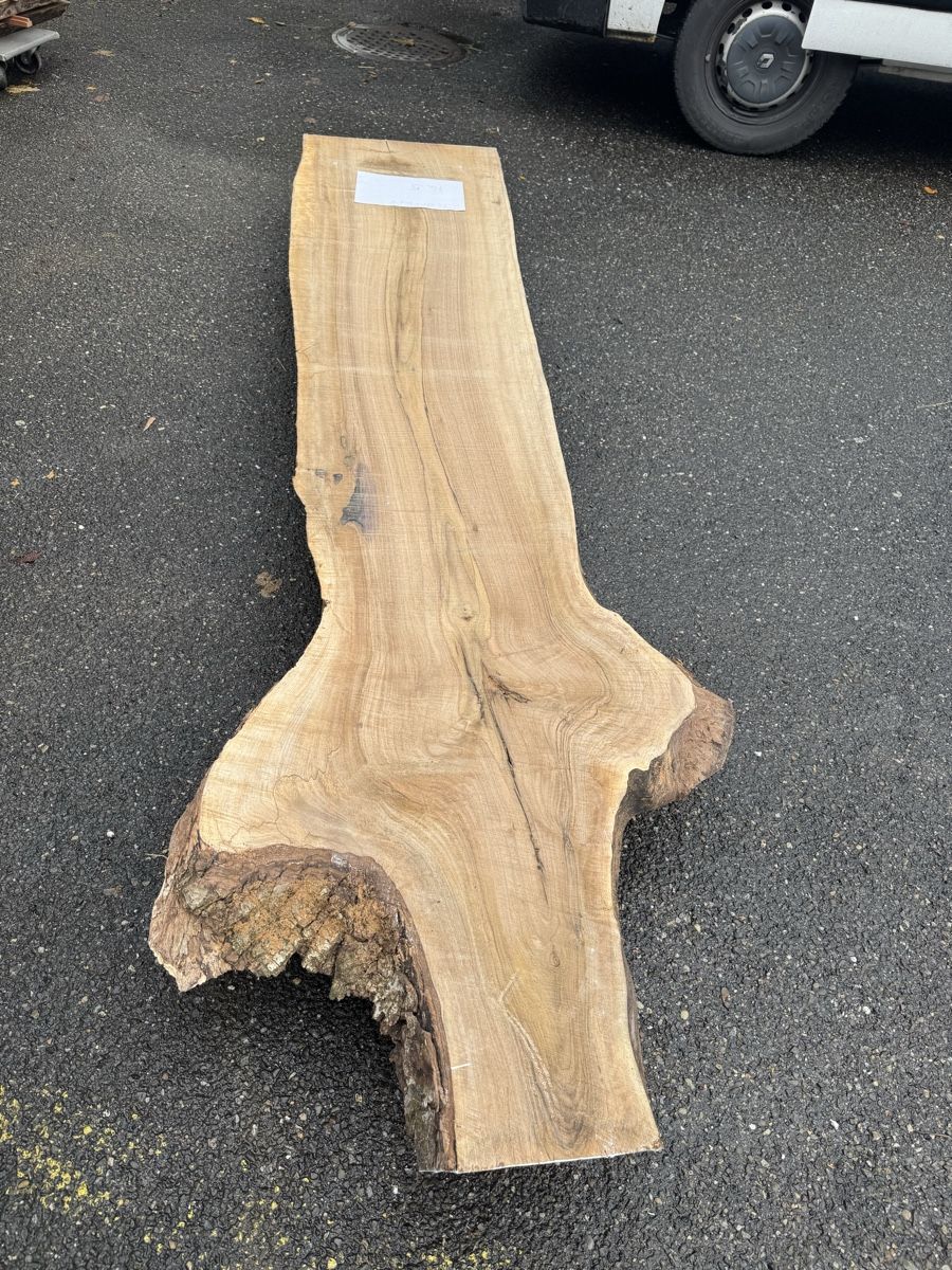 Articoli in legno: Nussbaum Klotzbrett 280  cm lang! – Usato da Gränichen venduto da onkel_xxl 7