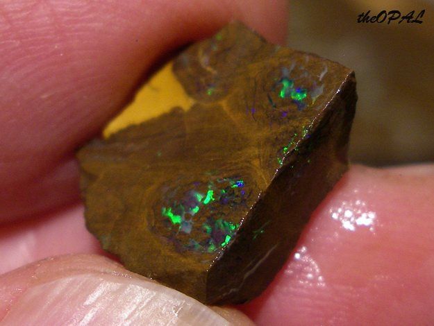 Minerali & Pietre curative: theOPAL *** 8 rohe australische Opale 760ct *** – Nuovo e nell'imballaggio originale da Ebnat-Kappel venduto da theOPAL 1