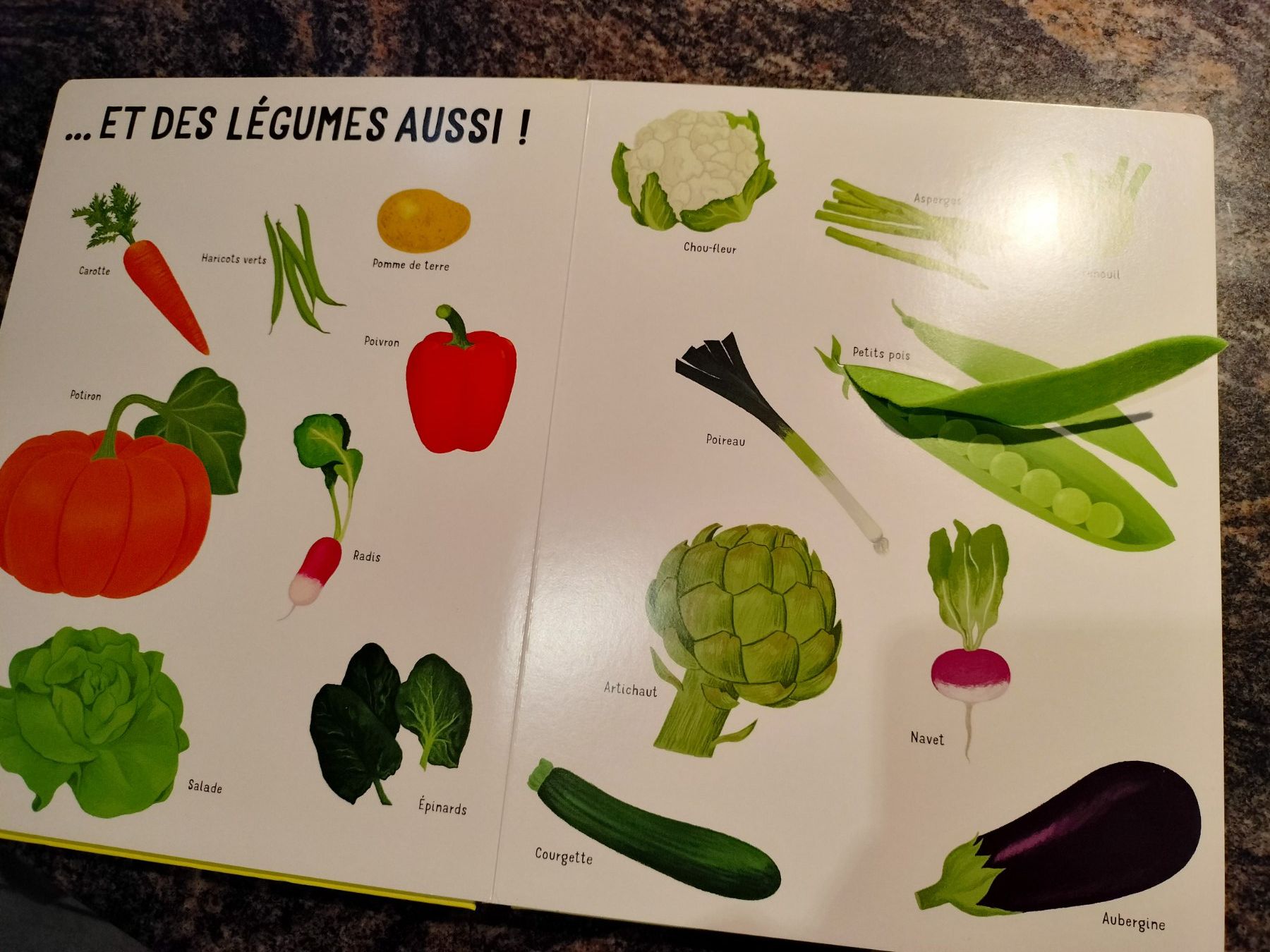 Libri: Dans mon jardin avec de grands flaps en feutrine – Usato da Cortaillod venduto da rozinna 3