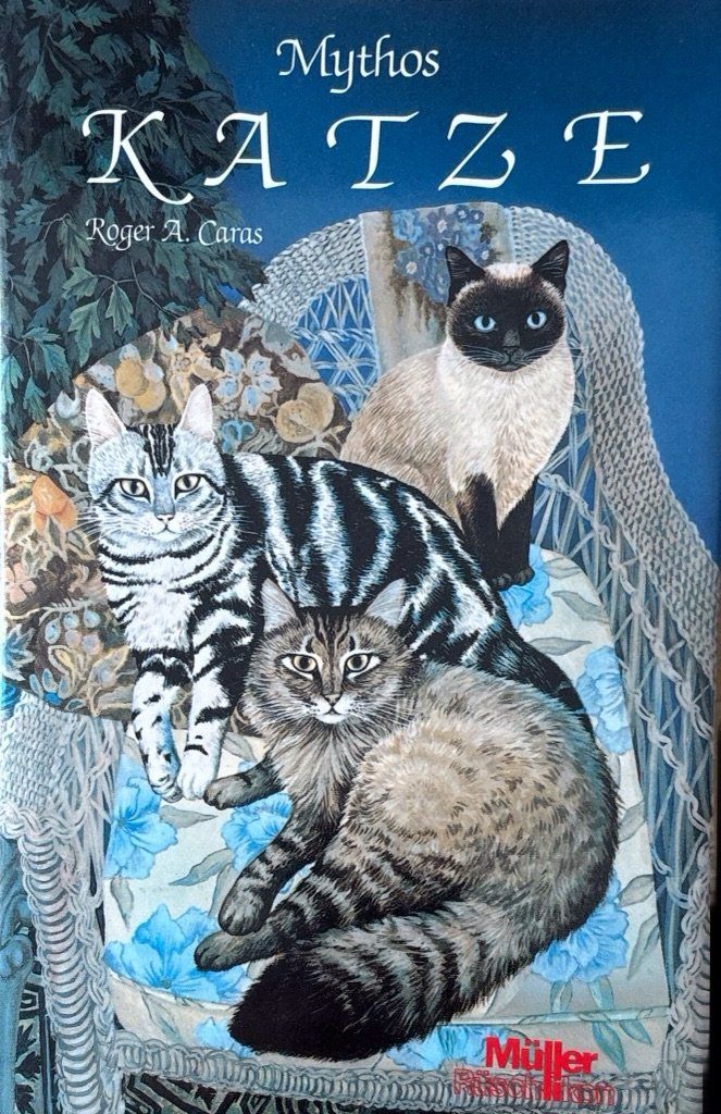 Libri: Mythos Katze – Nuovo e nell'imballaggio originale da Sarnen venduto da Livres