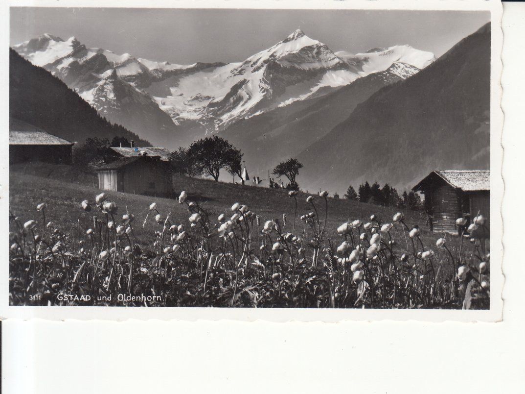 Cartoline postali: Gstaad ca. 1945 – Usato da Bürglen TG venduto da StampGraf