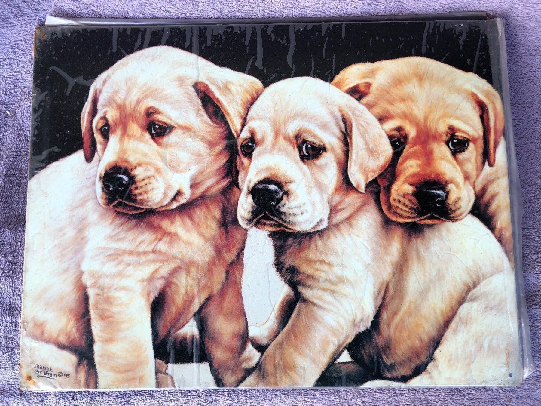 Insegne: Hunde welpen labrador klein – Nuovo (secondo la descrizione) da Reinach AG venduto da rares75