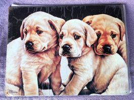 Hunde welpen labrador klein