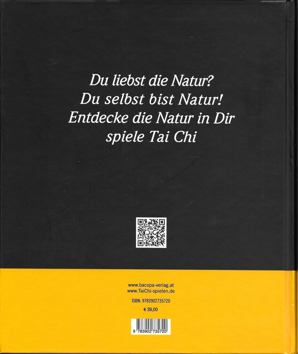 Livres: Tai Chi spielen - Daniel Grolle – D'occasion à Unterbäch VS par bstrutt 1