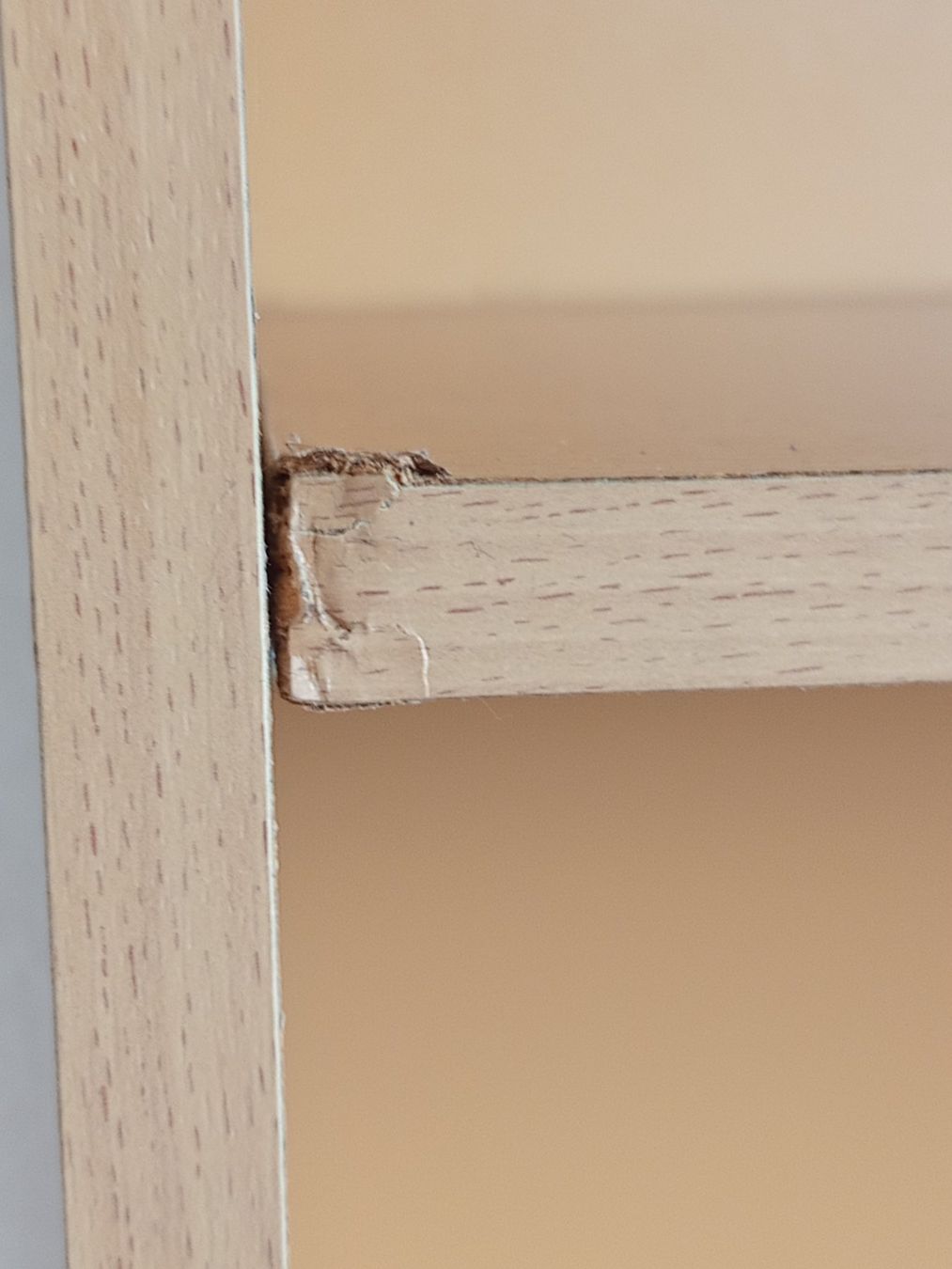 Scaffali: Bücherregal Holzoptik mit fünf Fächern – Usato da Brüttisellen venduto da VideoGang 3