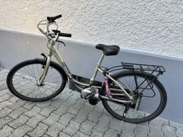 E-Bike Moover silber mit zwei Akkus und Ladegerät
