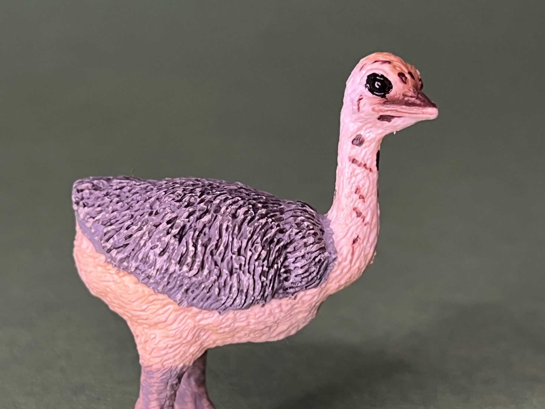 Schleich Figuren: Schleich 14398 Straussenjunges Strauss – Gebraucht aus Ennetbaden von mapa05 1