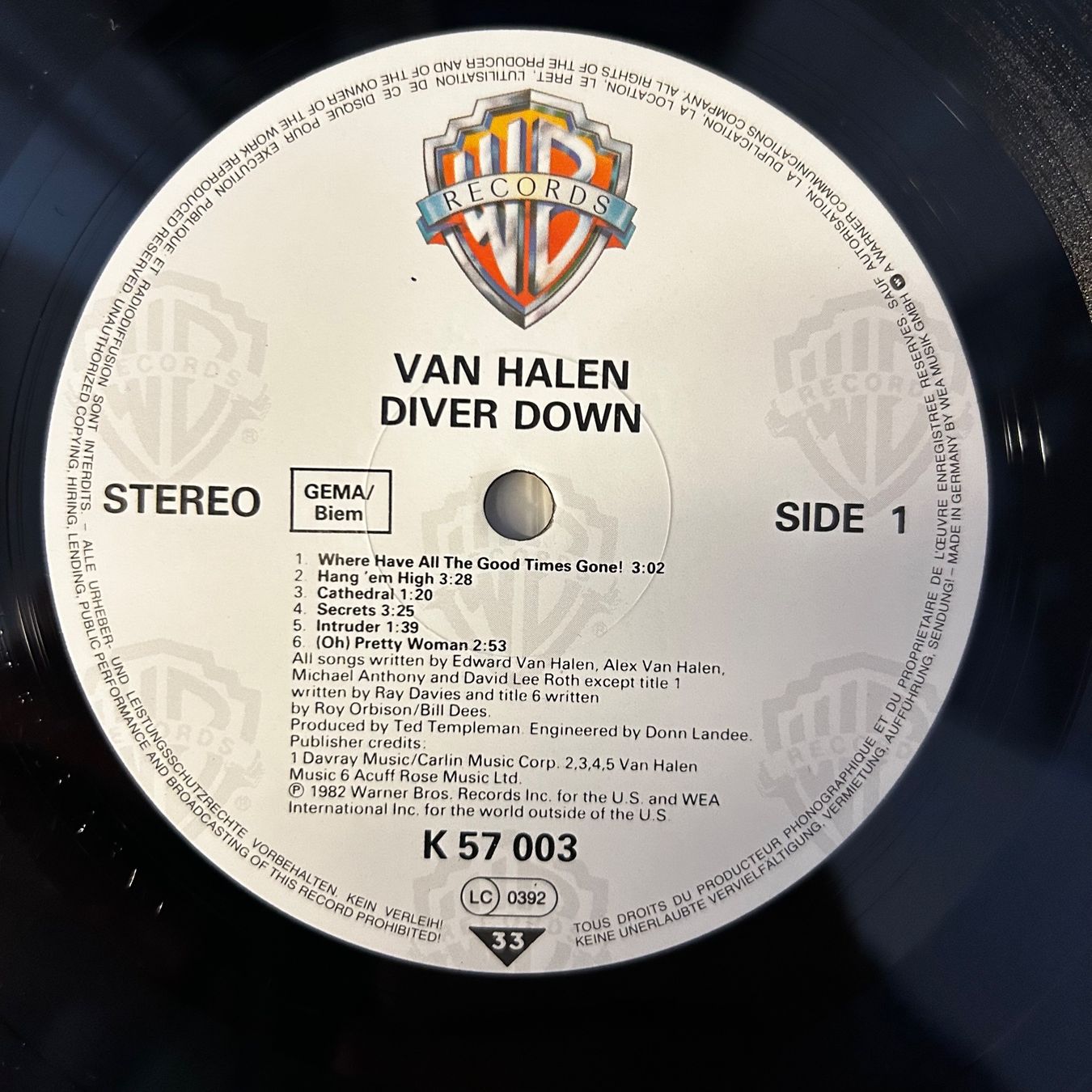 Dischi in vinile: Van Halen - Diver Down, Vinyl LP 1982 – Usato da Aesch BL venduto da BlueMusicRecords 2