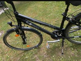 Pegasus Corona-Disc 21-Gang 28 Zoll