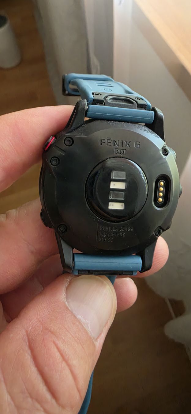 Garmin Smartwatch: Garmin Fenix 6 Pro  – D'occasion à Lyss par ram76 1