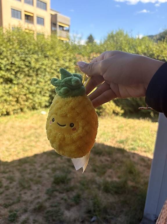 Giocattoli: Anhöngwr Ananas – Usato da Kriens venduto da dajaxoxo