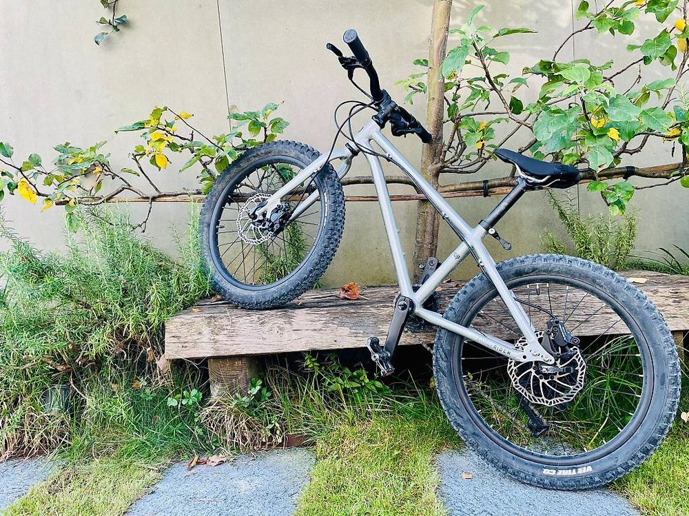 Early Rider Seeker 20 leichtes Premium-Kinderbike (Gebraucht) in ...