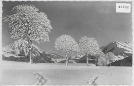 Leysin - Le Mont d'Or et le Pic Chaussy en hiver
