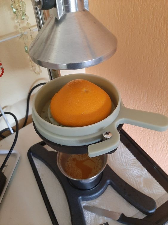 Orangen/Zitronen Presse, Handbetrieb | Kaufen auf Ricardo