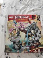 Lego Ninjago Dragons rising (71819)