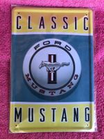 Ford Mustang Oldtimer classic v8