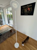 Stehlampe weiss LED dimmbar Fernbedienung guter Zustand