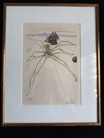 Salvador Dali „Arachne“ Kunstdruck 