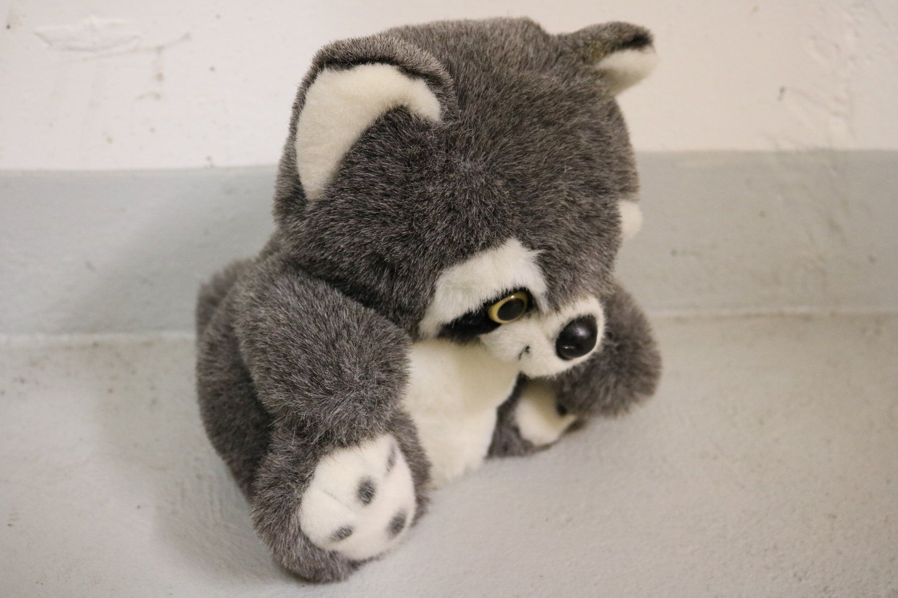 Giocattoli: Waschbär Plüschtier Kuscheltier Stofftier – Nuovo (secondo la descrizione) da Rickenbach b. Wil venduto da Byby7 3
