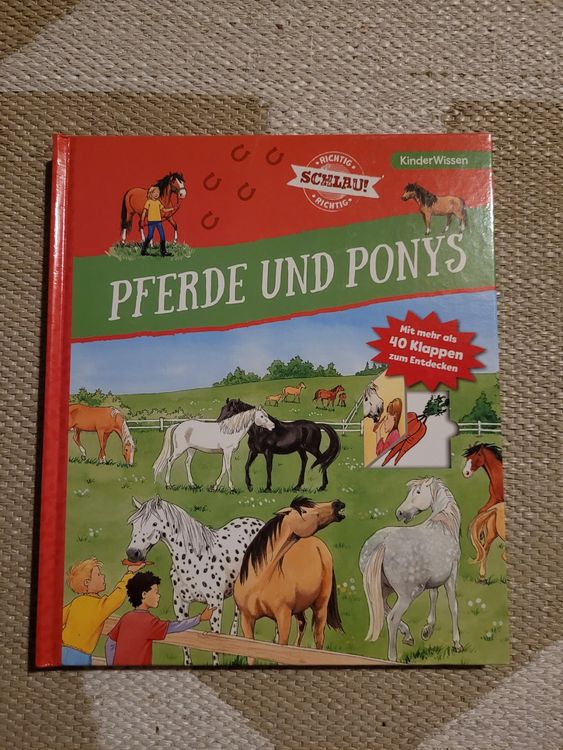 Pferde und Ponys | Kaufen auf Ricardo