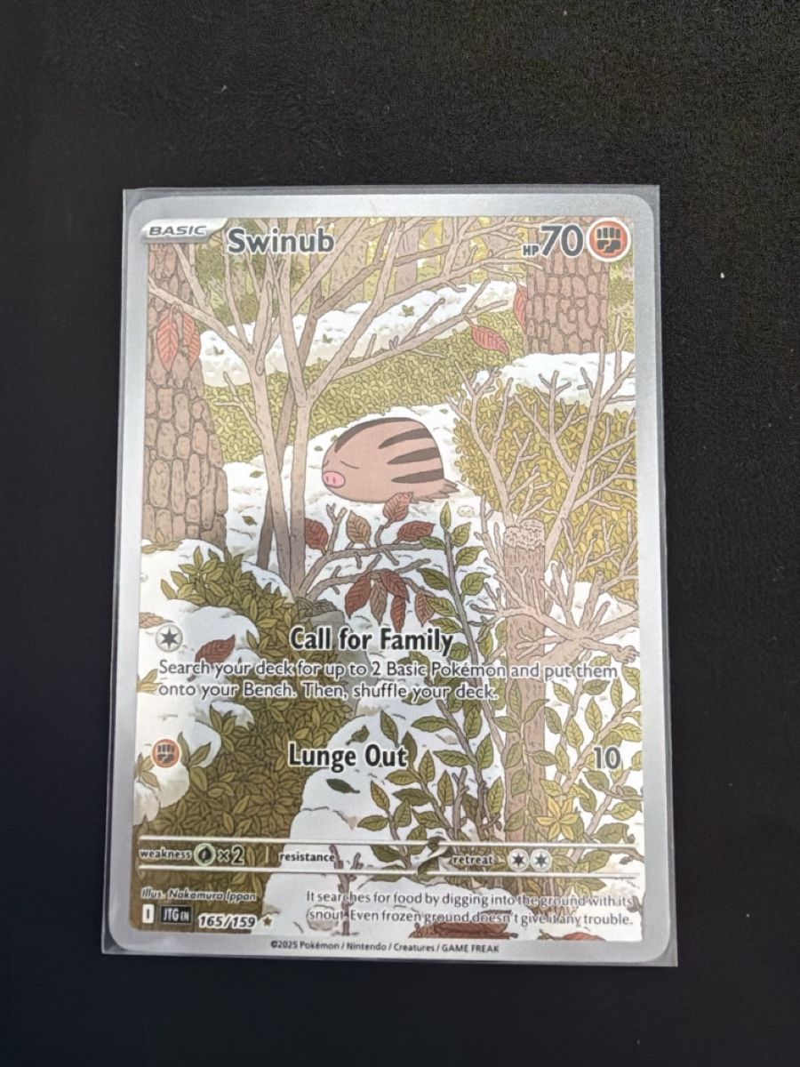 Pokémon Carte collezionabili: Swinub 165/159 NM/EN – Usato da Cadro venduto da rarecandycustoms