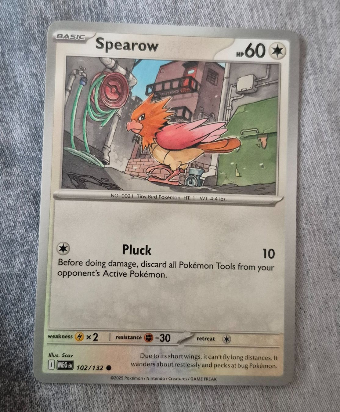 Pokémon Carte collezionabili: SPEAROW 102/132 MEGA EVOLUTION POKEMON ENGLISH – Usato da Grand-Lancy venduto da luc111