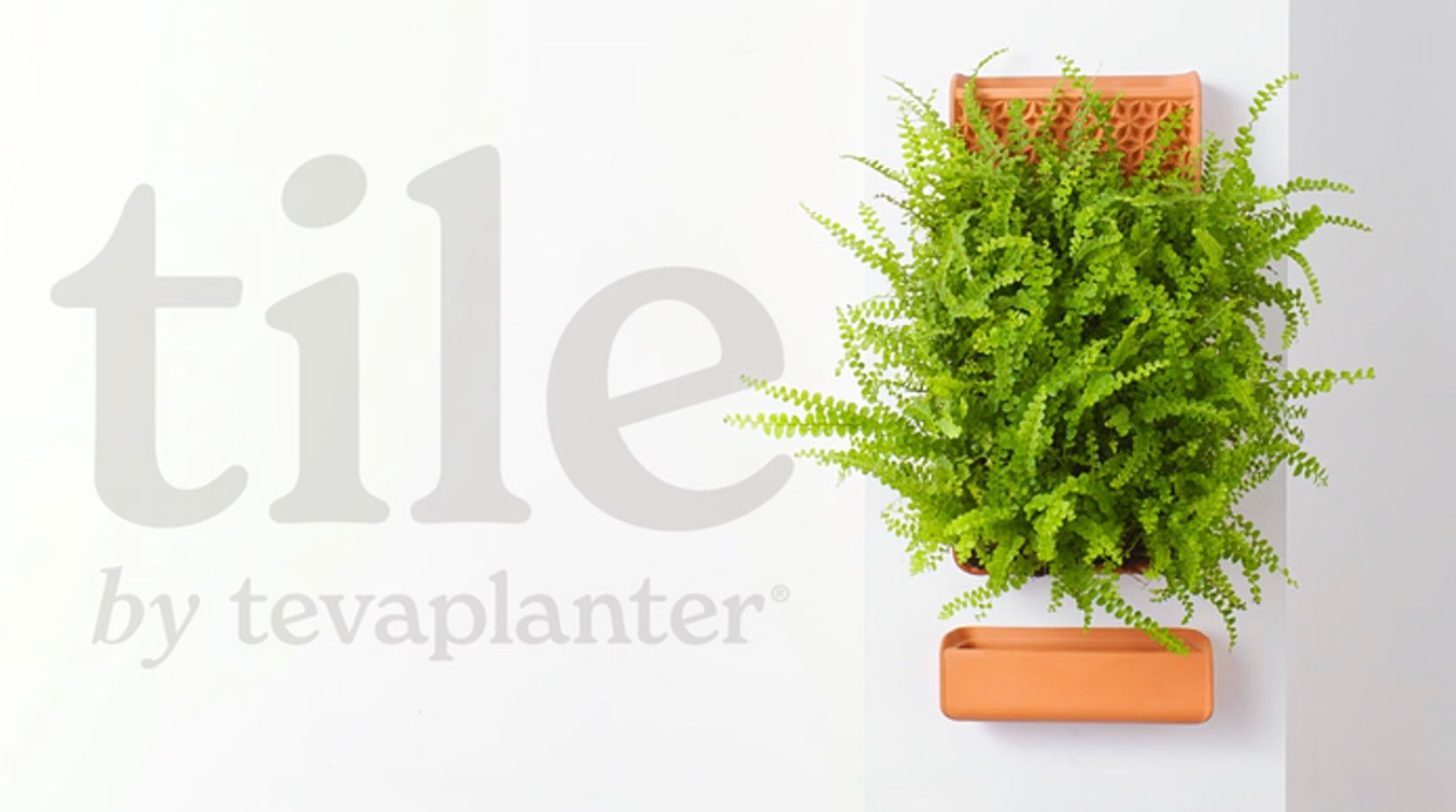 Vasi per fiori: Tile von Tevaplanter 2 x tevaplanter Tile 2 x Wall Base – Usato da Genève venduto da Greg_8ff