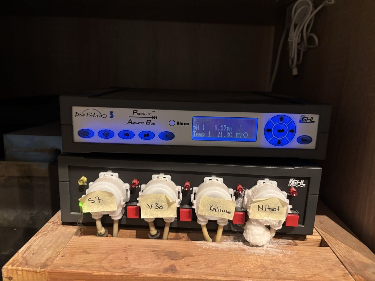 Aquarium: 600 l Aquarium Mit GHL system – D'occasion à Binningen par lor_75yl 4