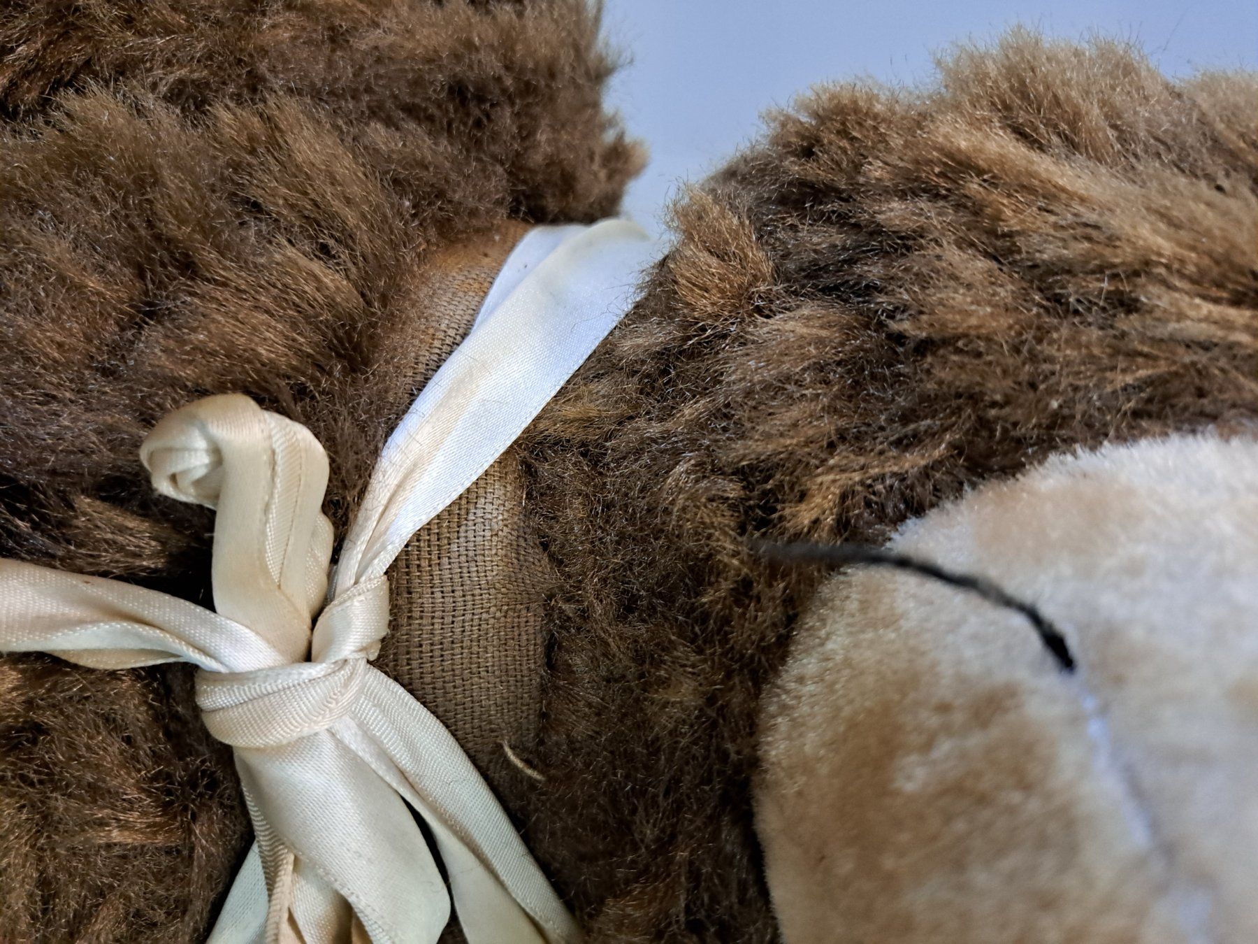 Giocattoli: Antiker grosser Teddybär ev. Steiff – Usato da Grossdietwil venduto da mahsoumi 4