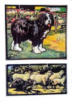 Optimago Edwin Noble Hund Holzpuzzle puzzle bois chien RARE!