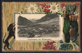 Zweisimmen, Totalansicht mit Wildstrubel